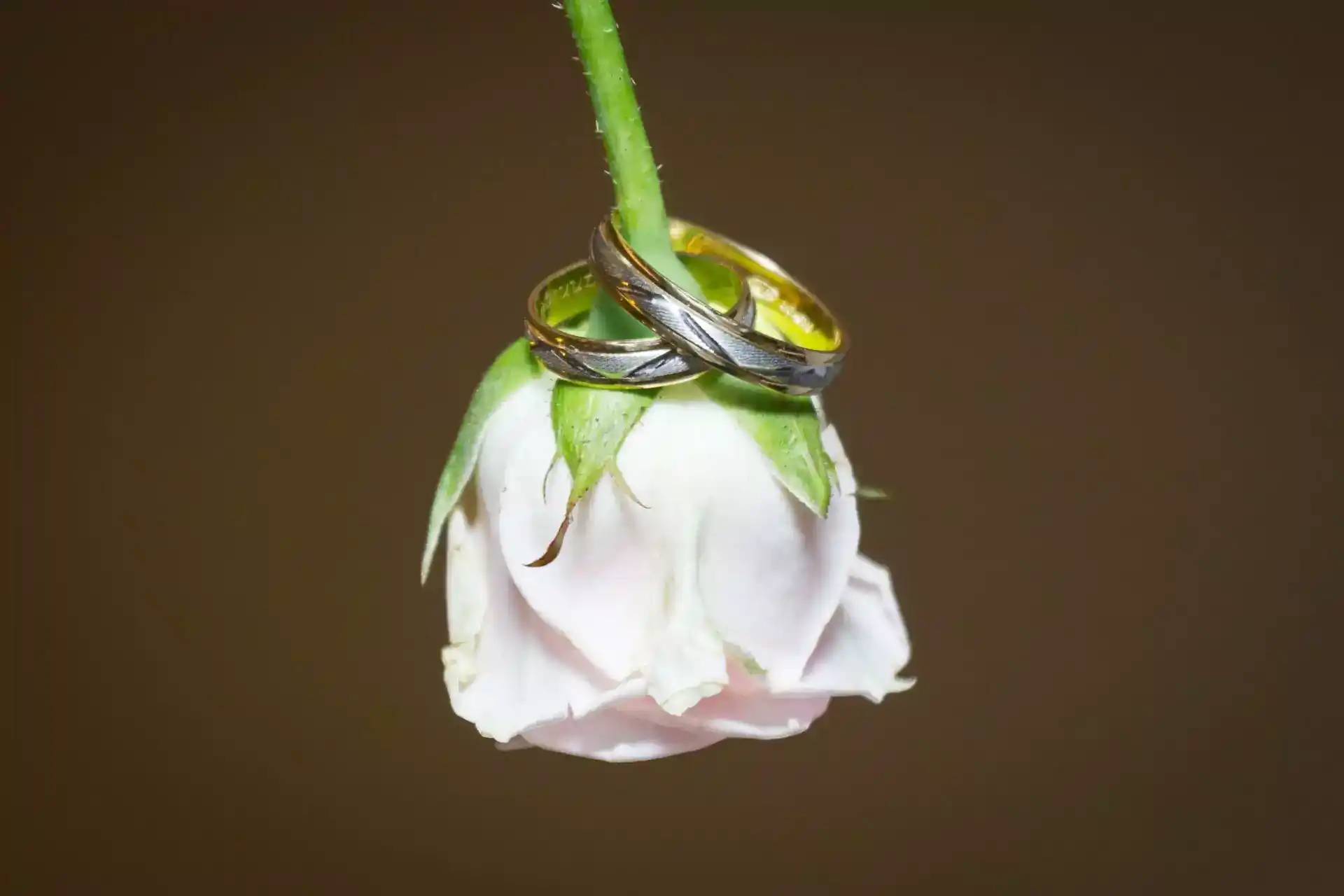 Photographe mariage dans le Var - Olivier Dilmi